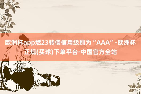 欧洲杯app燃23转债信用级别为“AAA”-欧洲杯正规(买球)下单平台·中国官方全站