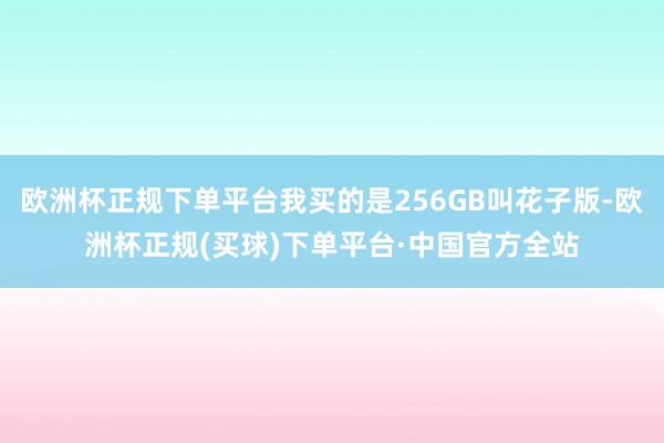 欧洲杯正规下单平台我买的是256GB叫花子版-欧洲杯正规(买球)下单平台·中国官方全站