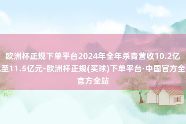 欧洲杯正规下单平台2024年全年杀青营收10.2亿元至11.5亿元-欧洲杯正规(买球)下单平台·中国官方全站