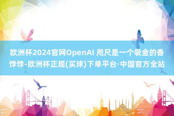 欧洲杯2024官网OpenAI 咫尺是一个吸金的香饽饽-欧洲杯正规(买球)下单平台·中国官方全站