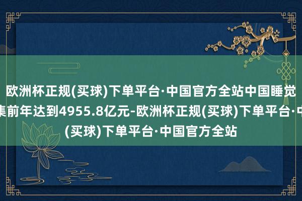 欧洲杯正规(买球)下单平台·中国官方全站中国睡觉经济合座市集前年达到4955.8亿元-欧洲杯正规(买球)下单平台·中国官方全站