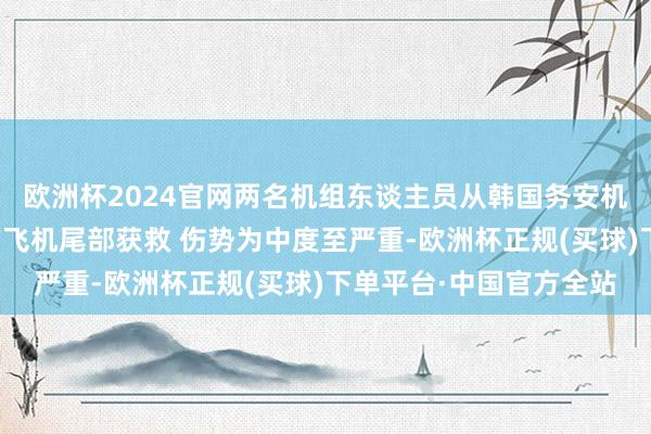 欧洲杯2024官网两名机组东谈主员从韩国务安机场客机碰撞动怒事故的飞机尾部获救 伤势为中度至严重-欧洲杯正规(买球)下单平台·中国官方全站