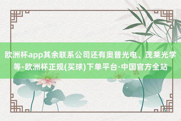 欧洲杯app其余联系公司还有奥普光电、茂莱光学等-欧洲杯正规(买球)下单平台·中国官方全站