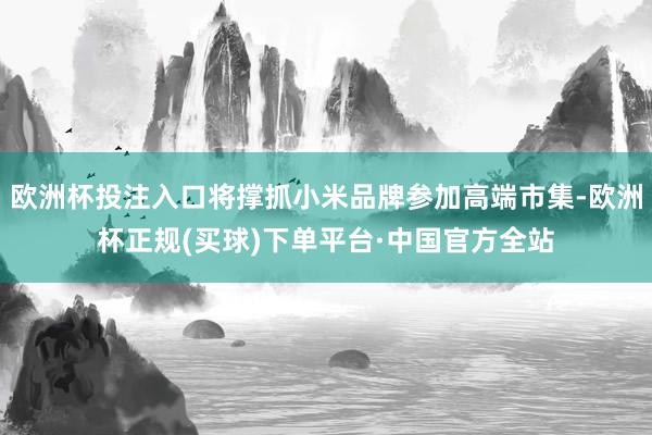 欧洲杯投注入口将撑抓小米品牌参加高端市集-欧洲杯正规(买球)下单平台·中国官方全站